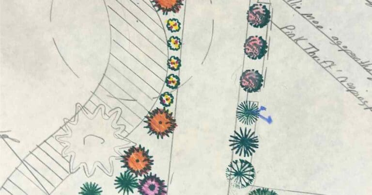 Garden Design Basics - Fun and Easy Steps